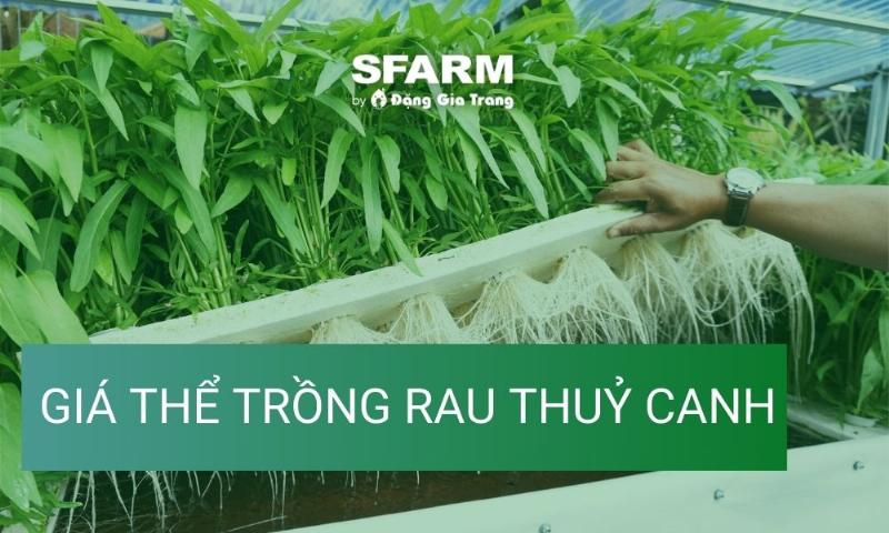 Hướng dẫn từng bước pha trộn giá thể trồng rau mầm tại nhà với các nguyên liệu phổ biến như xơ dừa, trấu hun, perlite